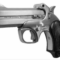 Bond-Arms-Derringer