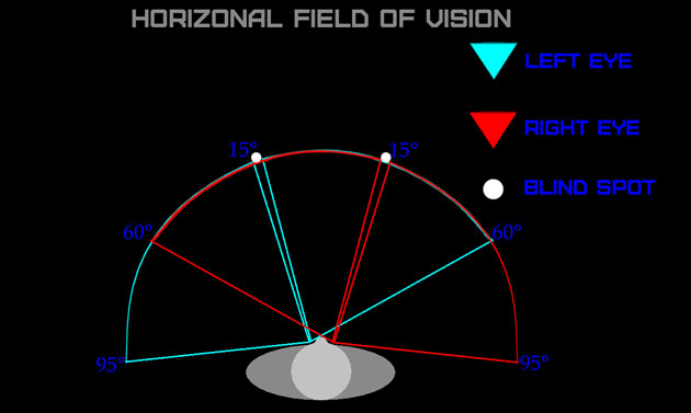 field-of-vision