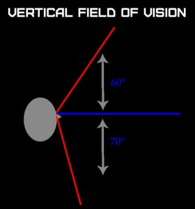 vertical-field-of-vision